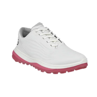 Ecco LT1 Hybrid Waterproof Shoe