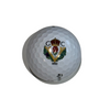 TaylorMade SpeedSoft Dozen - VGC Symbol