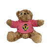 Teddy Bear - Pink